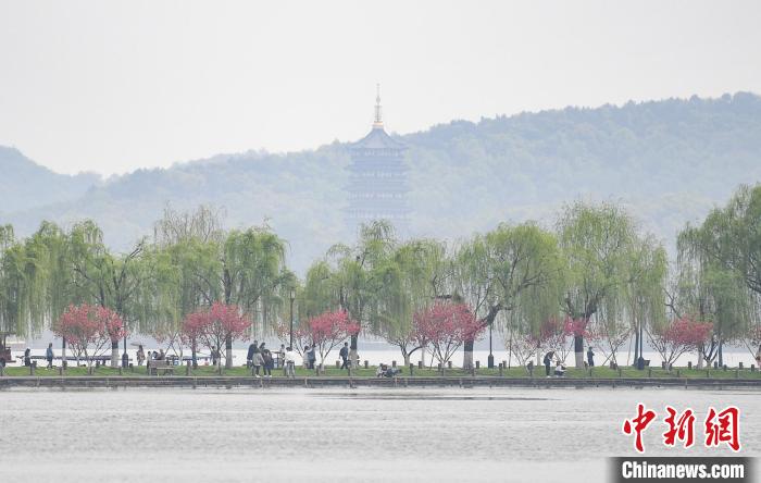 圖為杭州西湖?！⊥鮿?攝