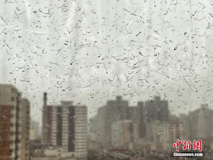 北京迎沙塵大風(fēng)天氣 “泥雨”從天而降