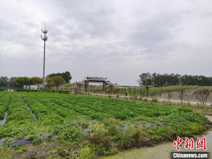 臺企頂裕：大陸土地上的新“耕耘”