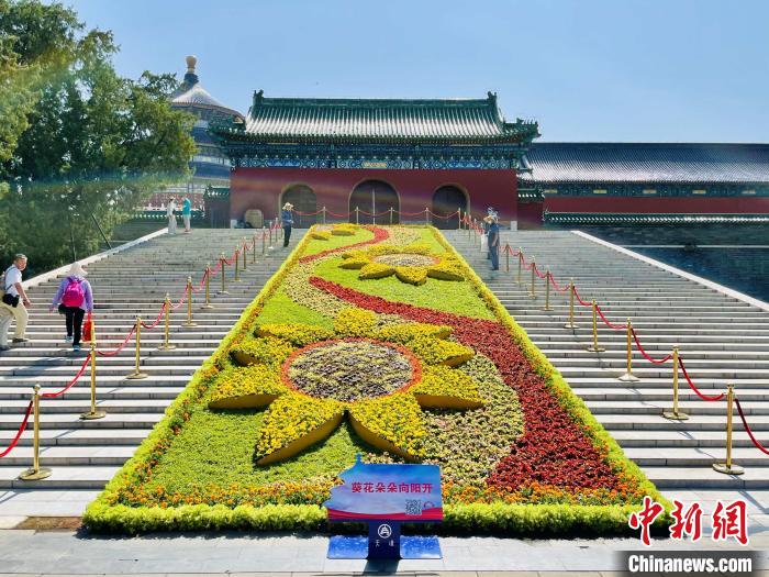 天壇公園的“葵花朵朵向陽開”主題花壇。　北京市公園管理中心供圖