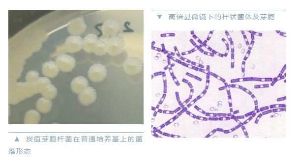 點擊進入下一頁