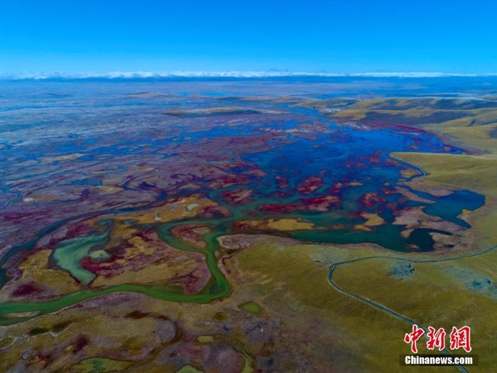 張張壁紙！黃河源頭秋景惹人醉