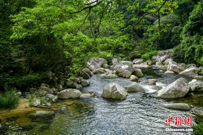 圖為海南熱帶雨林國家公園體制試點(diǎn)區(qū)吊羅山片區(qū)南喜峽谷內(nèi)的河流。 駱云飛 攝