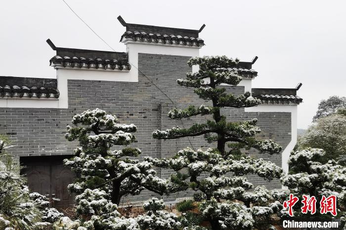 圖為：寧波奉化溪口鎮(zhèn)三十六灣村雪景在粉墻黛瓦襯托下呈現(xiàn)獨(dú)特江南景致?！≡ǔ?通訊員) 攝