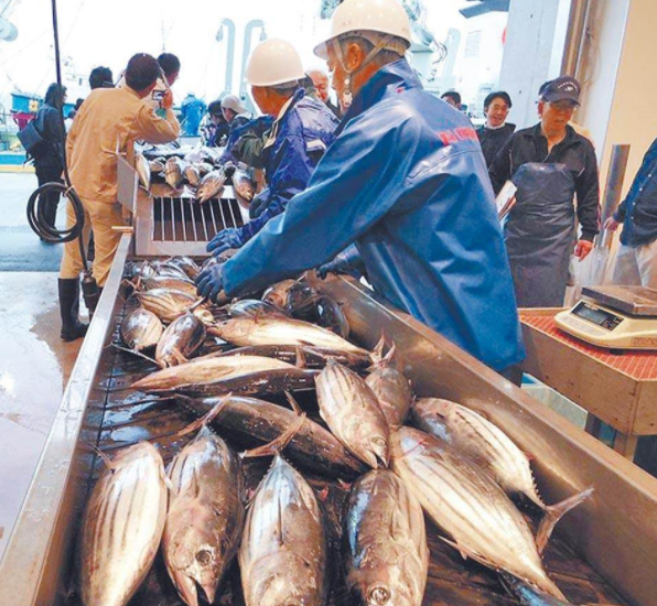 日本核食1