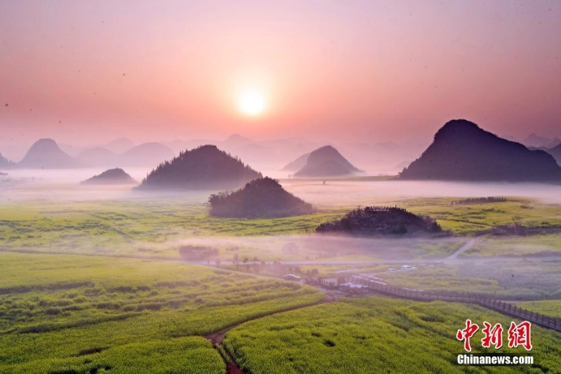 云南羅平：霧里看花別樣景