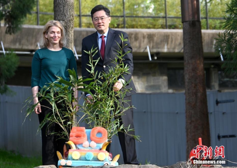 美國國家動物園慶祝大熊貓抵美50周年