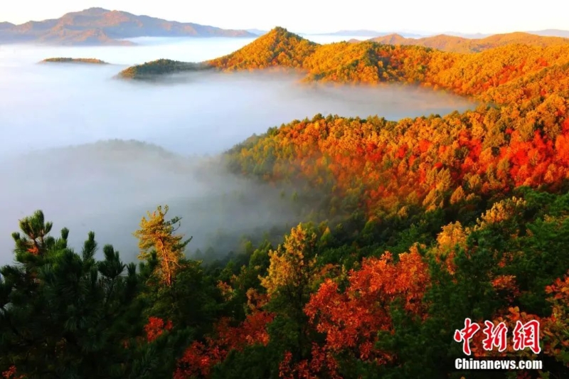 點擊進入下一頁