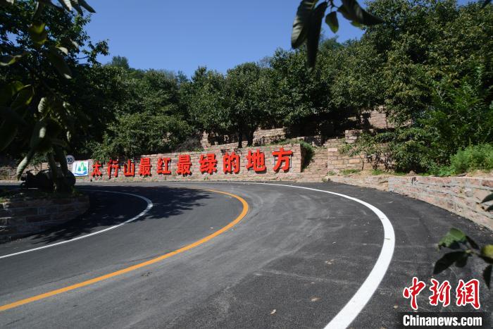 前南峪村綠意盎然的山場(chǎng)觀光道路。　張鵬翔 攝