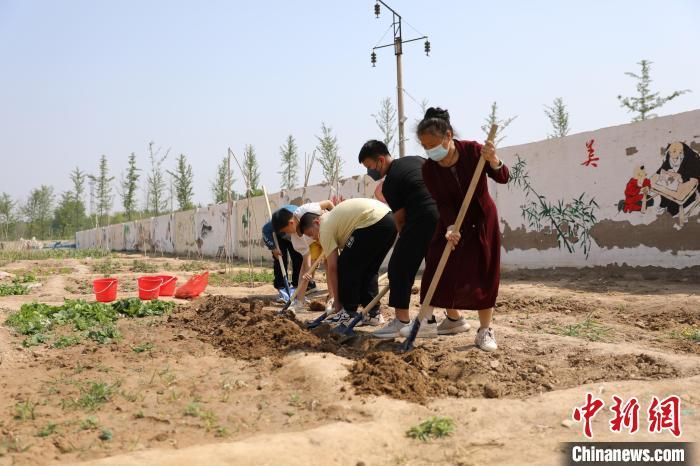 資料圖：河北衡水利民路小學創(chuàng)設的“耕讀苑”勞動基地，各班學生自己設計班牌，查資料，選擇農(nóng)作物種子。金莉莉 攝