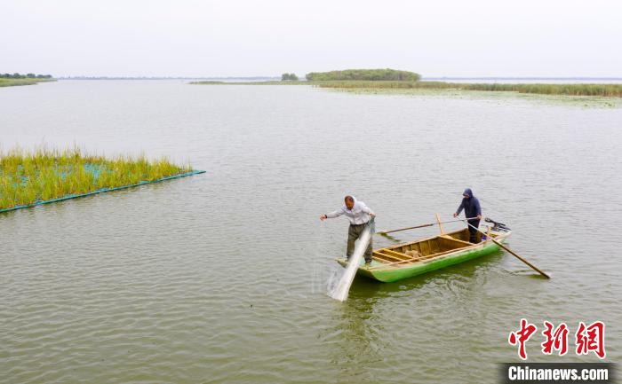 一船一碼一證：“京津冀最美濕地”衡水湖開(kāi)湖捕魚