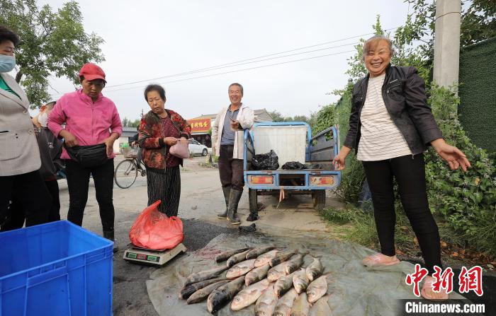 新鮮魚獲上市?！￡惪?攝