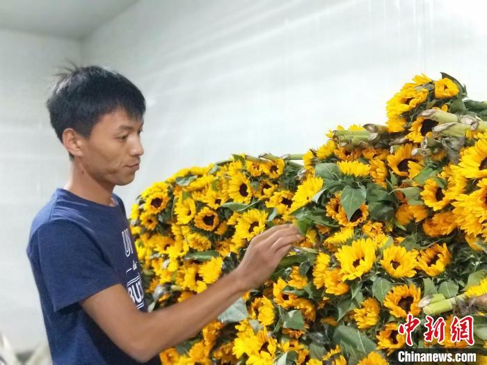 李建耀查看儲(chǔ)備的鮮花情況?！≮w國華 攝