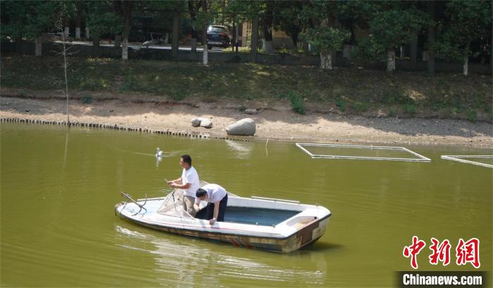 鄱陽(yáng)湖保護(hù)區(qū)和湖北秀湖植物園工程師對(duì)擬選基地的水源水質(zhì)狀況進(jìn)行勘察。　鄱陽(yáng)湖保護(hù)區(qū) 供圖