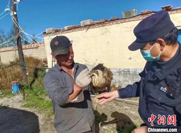 圖為被救助的大麻鳽?！∏嗪：壹壸匀槐Ｗo(hù)區(qū)管理局供圖