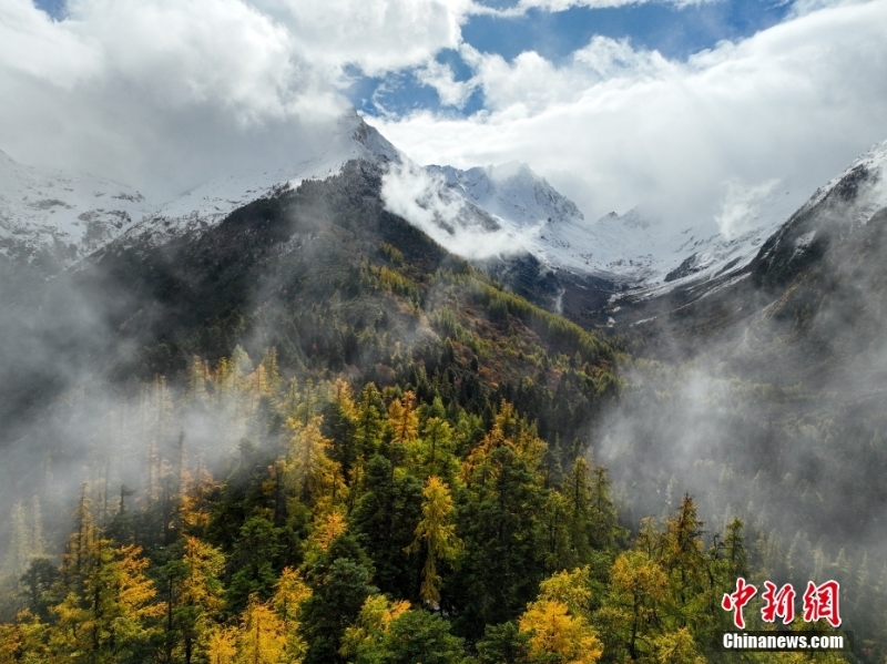 西藏林芝秋日風(fēng)光無限