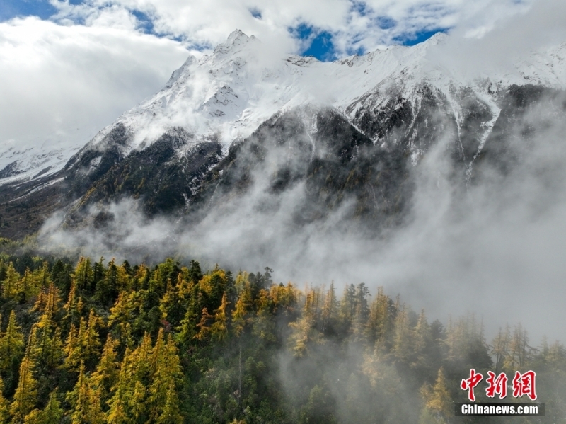 西藏林芝秋日風(fēng)光無限