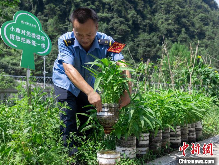 圖為改為無人值守前，員工在打理種植的蔬菜。　鮮聯(lián)平 攝