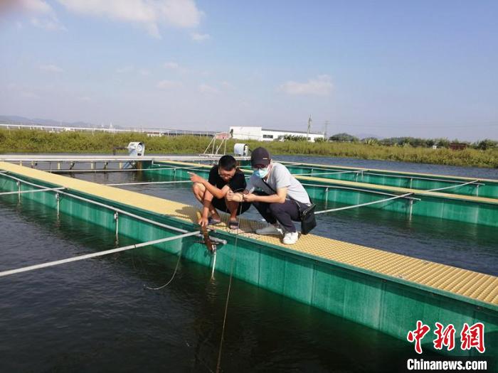 廣東珠海斗門(mén)打造“一條魚(yú)”的氣象服務(wù)