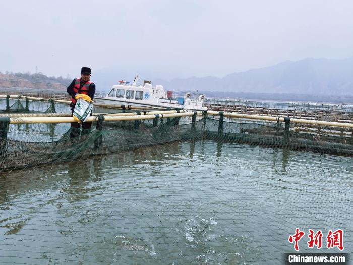 圖為水車村冷水魚養(yǎng)殖?！±钣穹?供圖