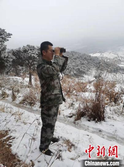 資料圖：大雪封山，護林員堅持巡查，避免積雪壓折樹木 泰安市委宣傳部供圖