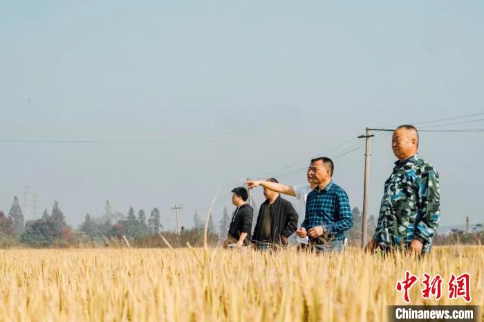 浙江區(qū)域觀察：“共富工坊”繪就鄉(xiāng)村幸福圖景