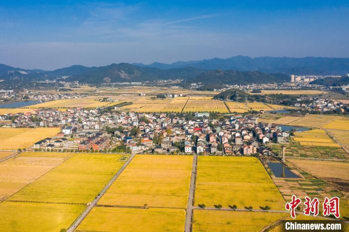 資料圖：杜黃新村一景?！↑S俊皓 供圖