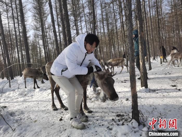 圖為與馴鹿合影的臺灣青年們?！±類燮?攝