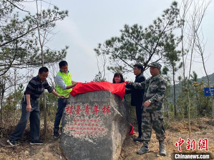 弘揚張圣君文化兩岸青年共植樟臺青年林