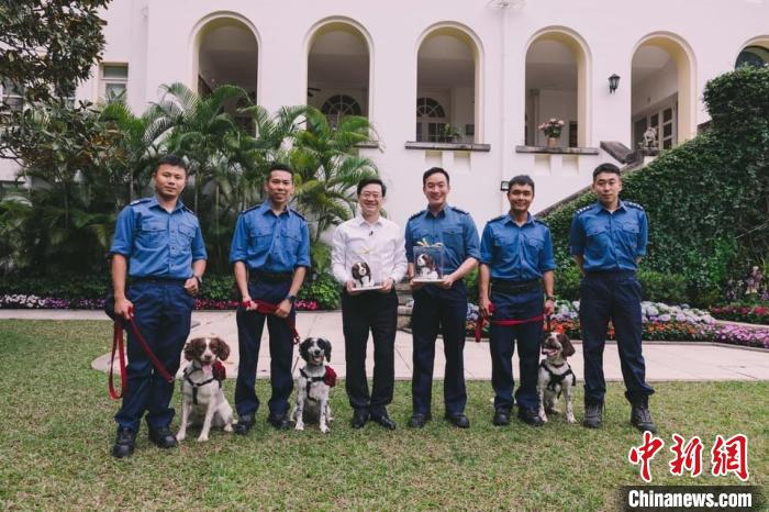 李家超禮賓府“宴請”赴土耳其救災(zāi)搜救犬?！±罴页缃幻襟w圖片 攝