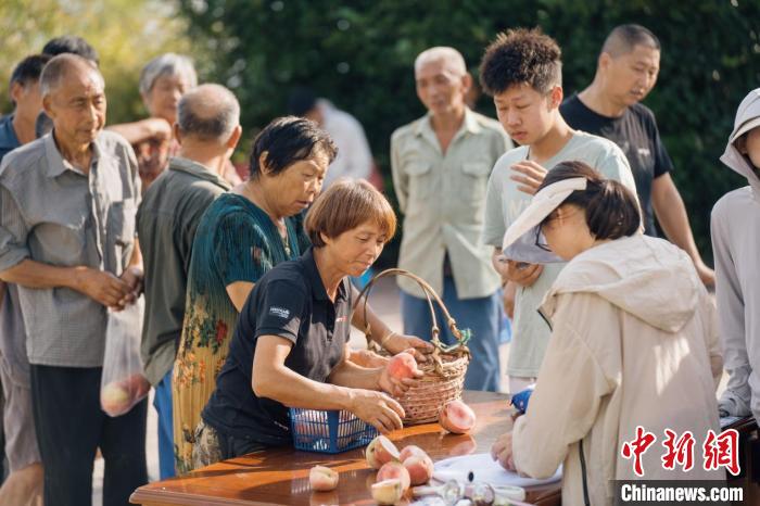 浙江小鎮(zhèn)桃子闖出“一片天”以農(nóng)旅融合形式助農(nóng)致富