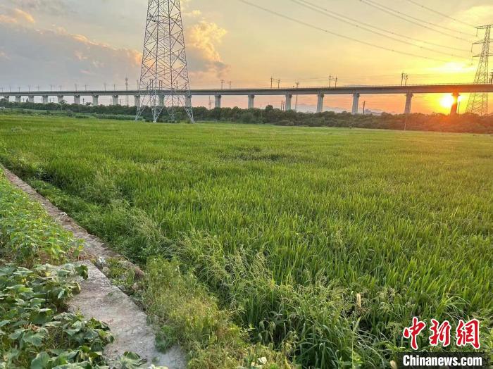 浙江水利觀(guān)察：豐水區(qū)夏季多雨既要防汛也要抗旱