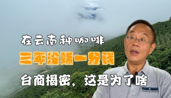 【滇西行】在云南種咖啡三年未賺一分錢？！臺商揭密個中原因