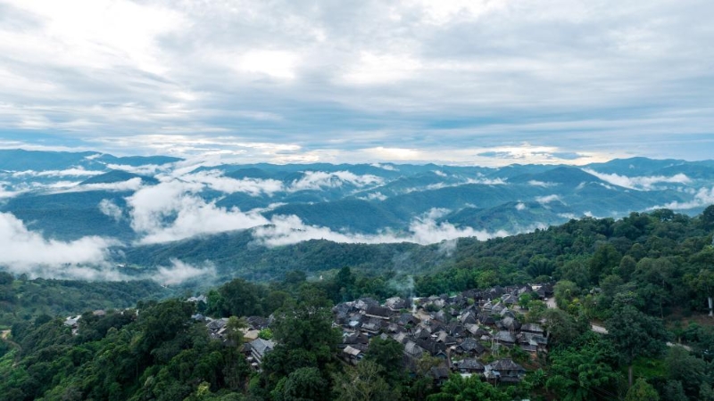 被山林與茶園環(huán)繞的景邁山翁基村一景（無人機(jī)照片，9月17日攝）