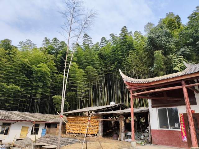 “金鐘玉鼓”鳴西蜀，彭州老君山文化傳承人王志強致力打造文旅目的地(圖4)