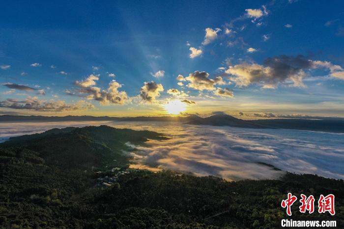 景邁山云海。 邵鴻雁攝