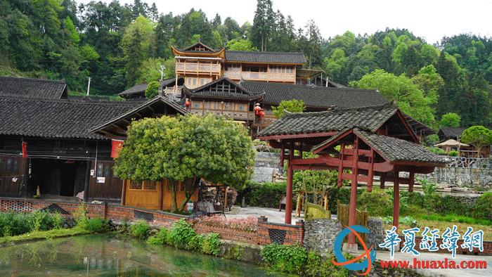 國茶村村景。（攝影：虞鷹）